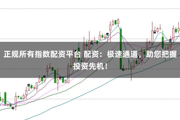 正规所有指数配资平台 配资：极速通道，助您把握投资先机！