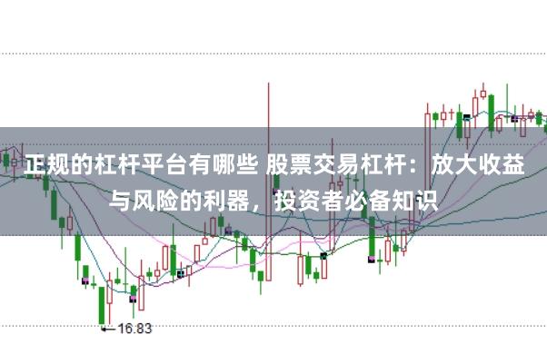 正规的杠杆平台有哪些 股票交易杠杆：放大收益与风险的利器，投资者必备知识
