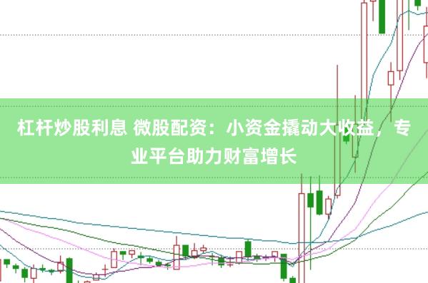 杠杆炒股利息 微股配资：小资金撬动大收益，专业平台助力财富增长