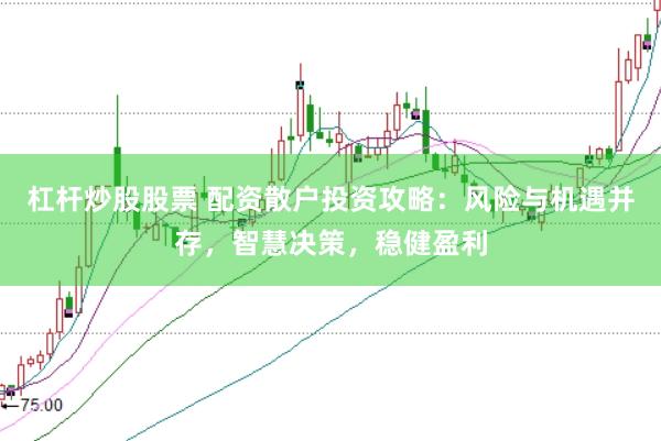 杠杆炒股股票 配资散户投资攻略：风险与机遇并存，智慧决策，稳健盈利