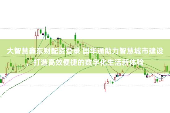 大智慧鑫东财配资登录 国华通助力智慧城市建设，打造高效便捷的数字化生活新体验