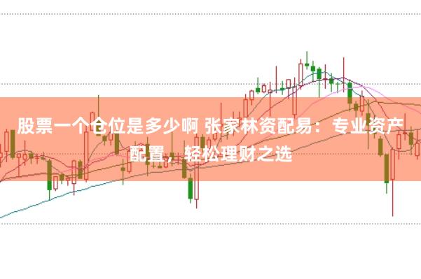 股票一个仓位是多少啊 张家林资配易：专业资产配置，轻松理财之选