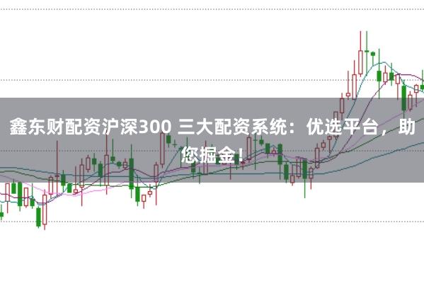 鑫东财配资沪深300 三大配资系统：优选平台，助您掘金！