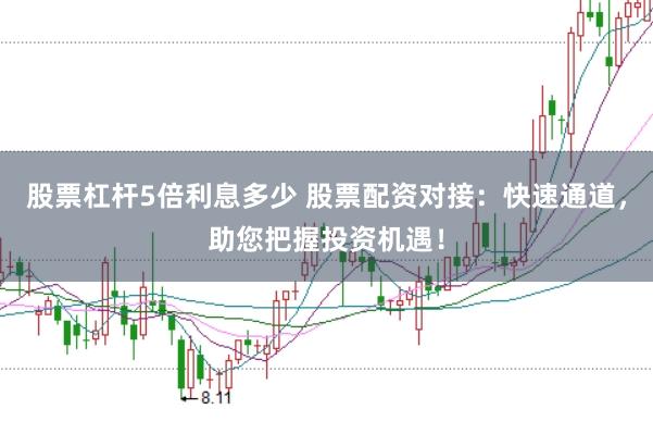 股票杠杆5倍利息多少 股票配资对接：快速通道，助您把握投资机遇！