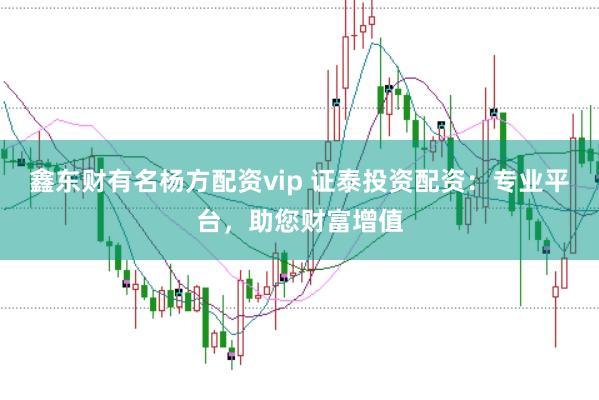 鑫东财有名杨方配资vip 证泰投资配资：专业平台，助您财富增值