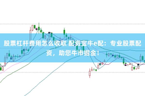 股票杠杆费用怎么收取 配资宝牛e配：专业股票配资，助您牛市掘金！