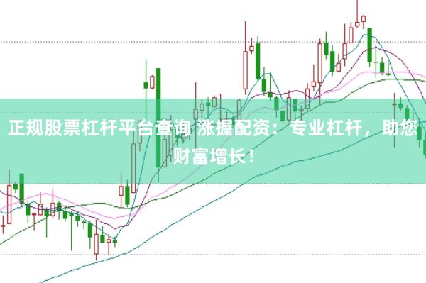 正规股票杠杆平台查询 涨握配资：专业杠杆，助您财富增长！