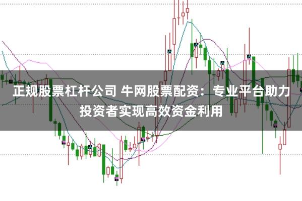 正规股票杠杆公司 牛网股票配资：专业平台助力投资者实现高效资金利用