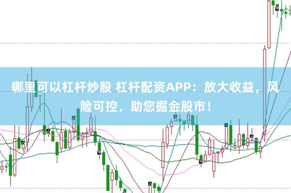 哪里可以杠杆炒股 杠杆配资APP：放大收益，风险可控，助您掘金股市！