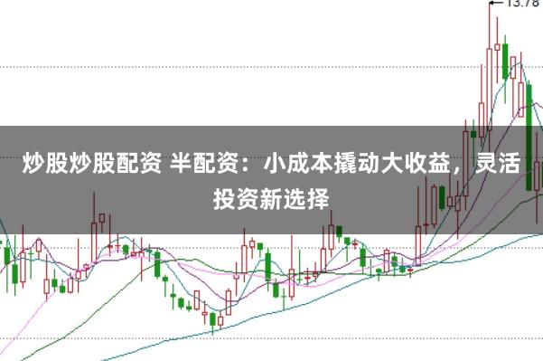 炒股炒股配资 半配资：小成本撬动大收益，灵活投资新选择