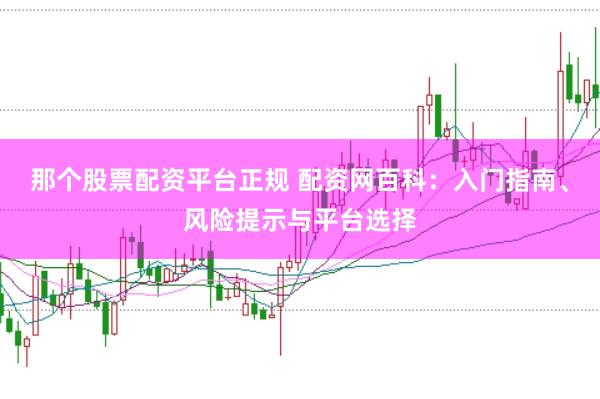 那个股票配资平台正规 配资网百科：入门指南、风险提示与平台选择