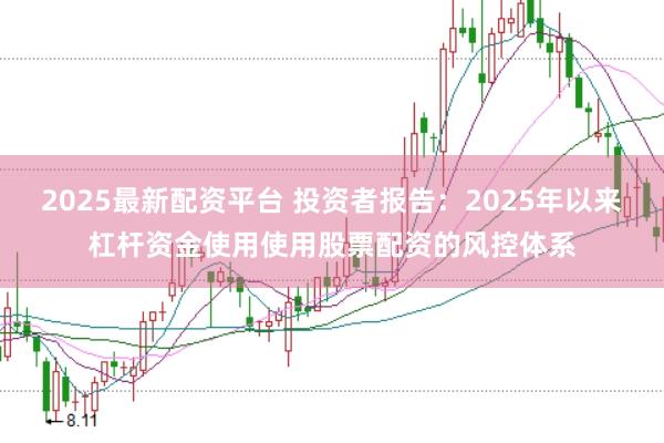 2025最新配资平台 投资者报告:2025年以来杠杆资金使用使用股票配资的风控体系