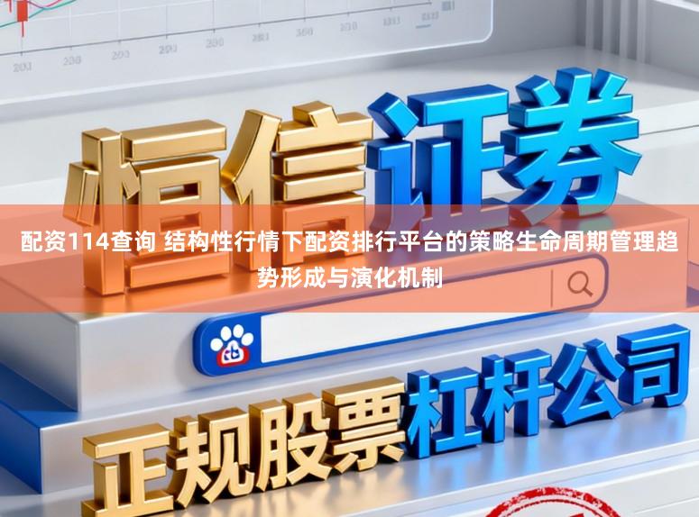 配资114查询 结构性行情下配资排行平台的策略生命周期管理趋势形成与演化机制