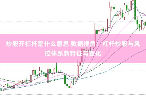 炒股开杠杆是什么意思 数据视角：杠杆炒股与风控体系新特征与变化