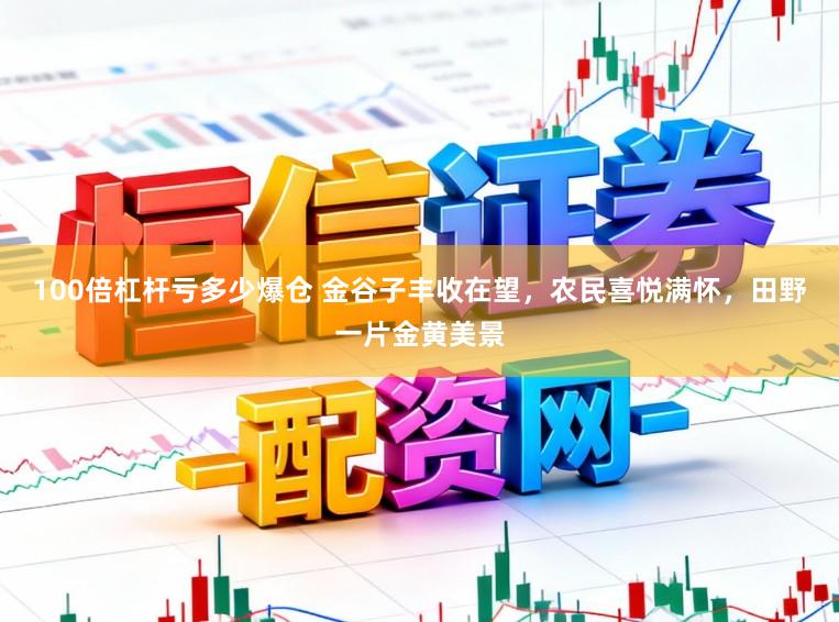 100倍杠杆亏多少爆仓 金谷子丰收在望，农民喜悦满怀，田野一片金黄美景